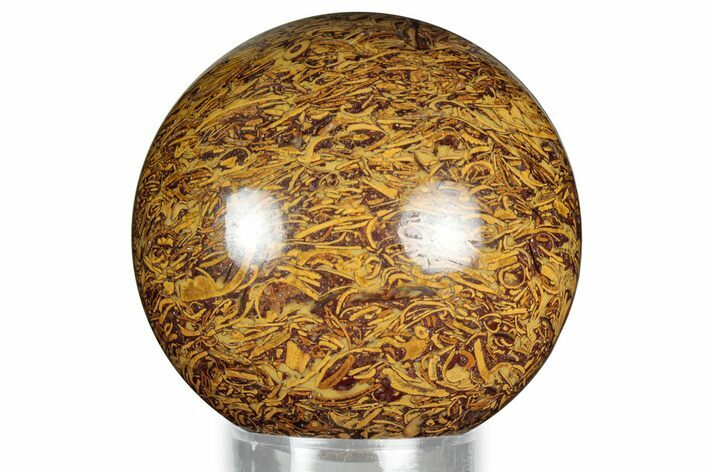 Polished Miriam Stone Sphere - India #327451